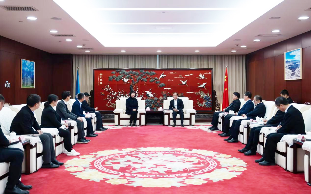 鼎点注册董事长高玲拜访中国华电董事长江毅